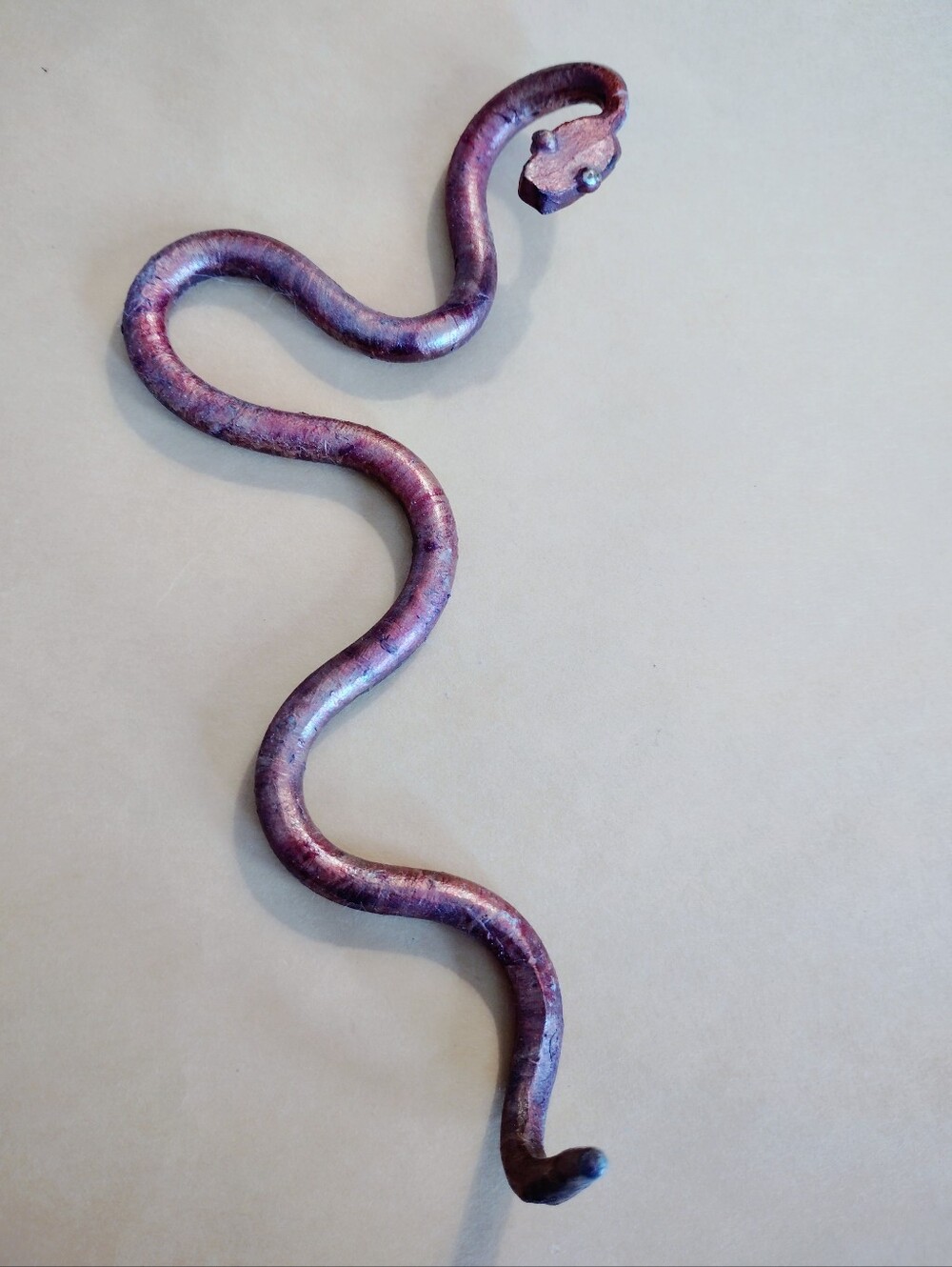 Copper Colored Snake - Picture 4 of 4